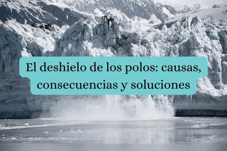 Portada de artículo: "El deshielo de los polos: causas, consecuencias y soluciones"